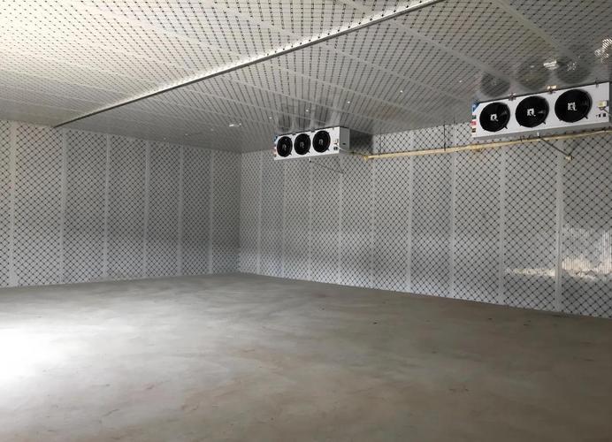 一間冷庫，藏著生活的溫度與生機